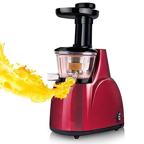 GLJXG Juicer Household Multifunction Fully automatic Fruit and vegetable extract juicer Mixer