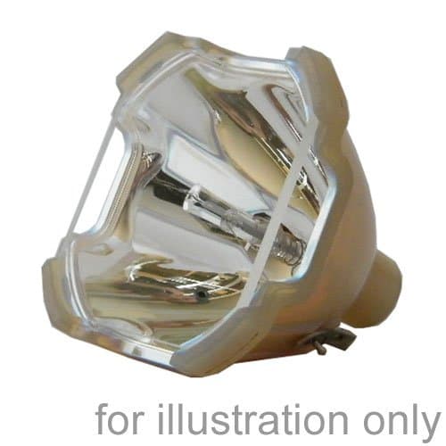 SUPERLAMPS Replacement Bulb for EPSON ELPLP22