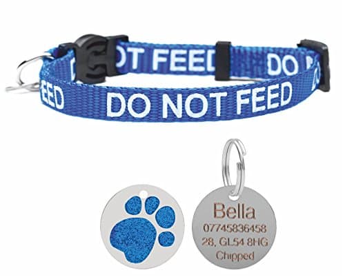 Cat Collar Do Not Feed With Bell Quick Release Free Engraved 25mm Glitter ID Tag (Blue)