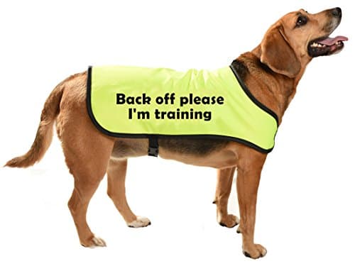 high viz dog communicoat - Back off please I am training - training aid/safety for dogs who need space - MEDIUM