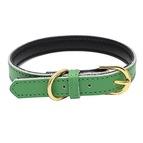 Pingxia Classic Padded Pet Collars Handmade for Puppy Small Medium Dogs with The Finest Genuine Leather(S / Green)