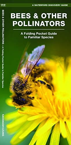 Bees & Other Pollinators: A Folding Pocket Guide to the Status of Familiar Species (A Waterford Discovery Guide) (Nature Observation North America)