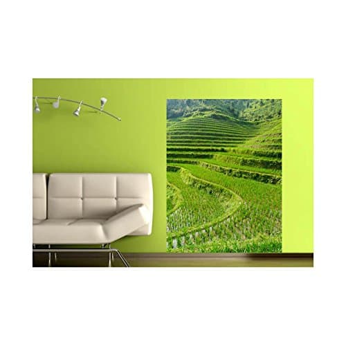 Stickers Paddy Fields Scenery, L 120cm x H 180cm