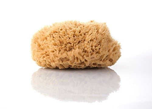 Natural sponge 18 cm - without plastic package - premium quality - natural unbleached - from the Mediterranean Sea