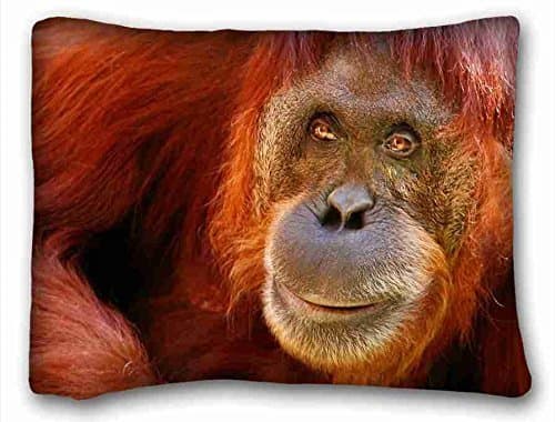 Custom Cotton &amp; Polyester Soft Animal Pillowcase Standard Size 20"X26" Design Pillow Case Cover suitable for Twin-bed