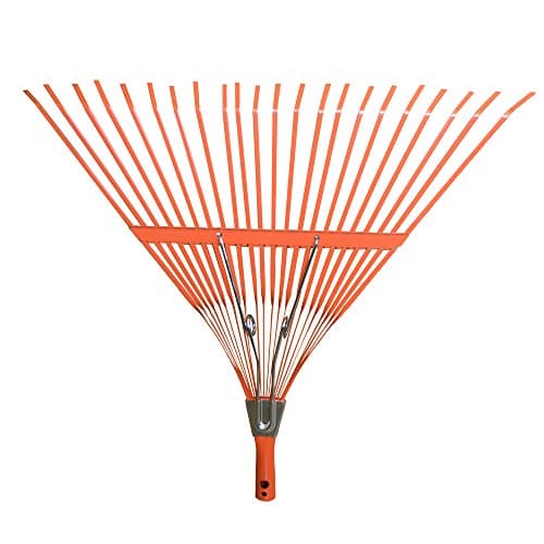 Stanford 040316 – rastrilla