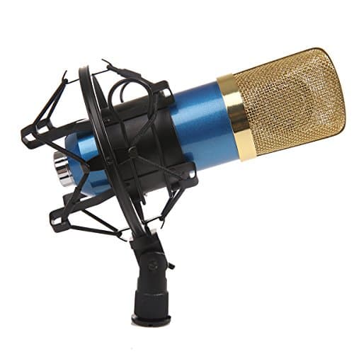 Dolotu BM Series Dynamic Condenser Microphone Sound Studio Recording Mic+ Shock Mount + Microphone Windshield- Professional Studio Broadcasting &amp; Recording Microphone SetEnjoying Singing Speaking High Party (BM700, Blue)