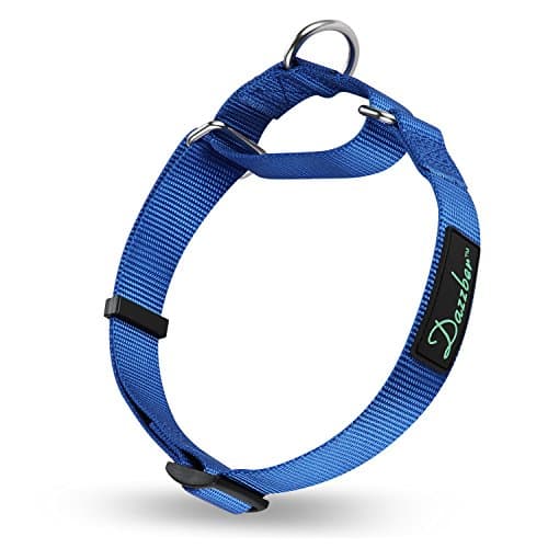 Dazzber Martingale Collars for Dogs Adjustable Durable Dog Collar Solid Color Nylon Dog Collars for Large/Medium/Small Dogs (Medium (Pack of 1), Royal Blue)