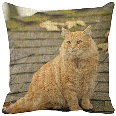 Richess Cat Square Sofa Macka Throw Pillow Cases