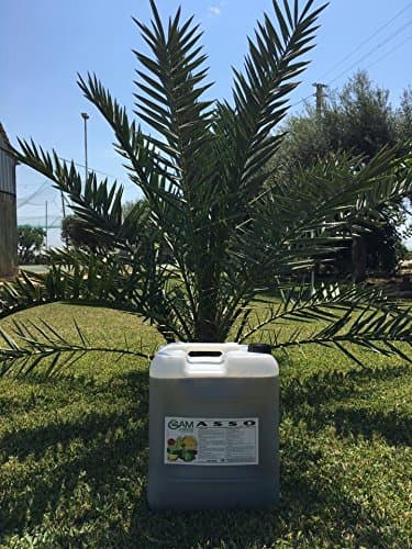 Professional Liquid Fertilizer NPK 2.5-7-13+organic and microelements (30)