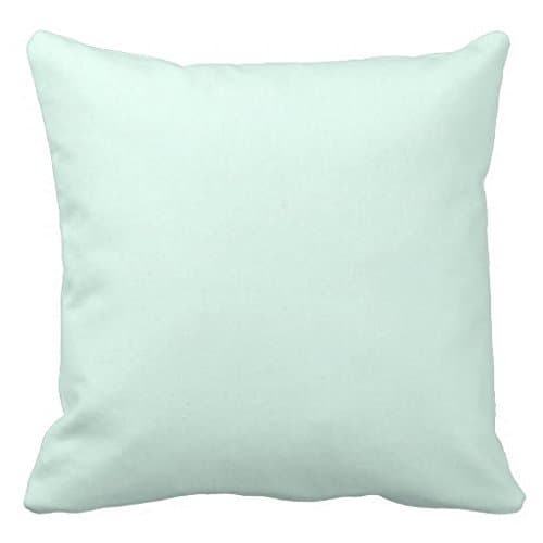 Custom Solid Light Mint Green Color Outdoor Pillow