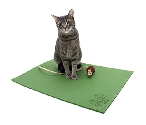 Cat Mat with Catnip Cat Toy. Cat Scratching Post, Bed, Activity Play Mat (Green)