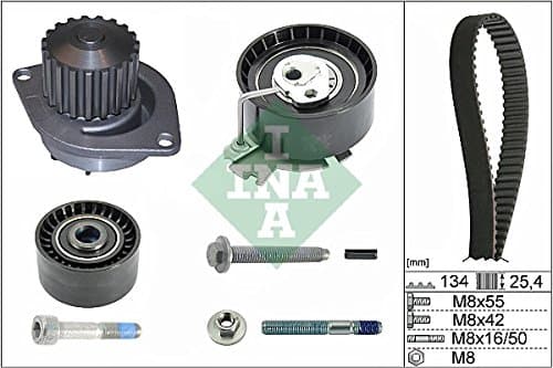 Distribution Kit + Water Pump INA 530037930