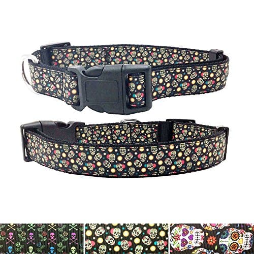 [AIDIYA]Pet Dog Collars, Skull Pattern by Hot Stamping , Adjustable Collars for Small Medium Large Dogs … (M, Golden Skull)