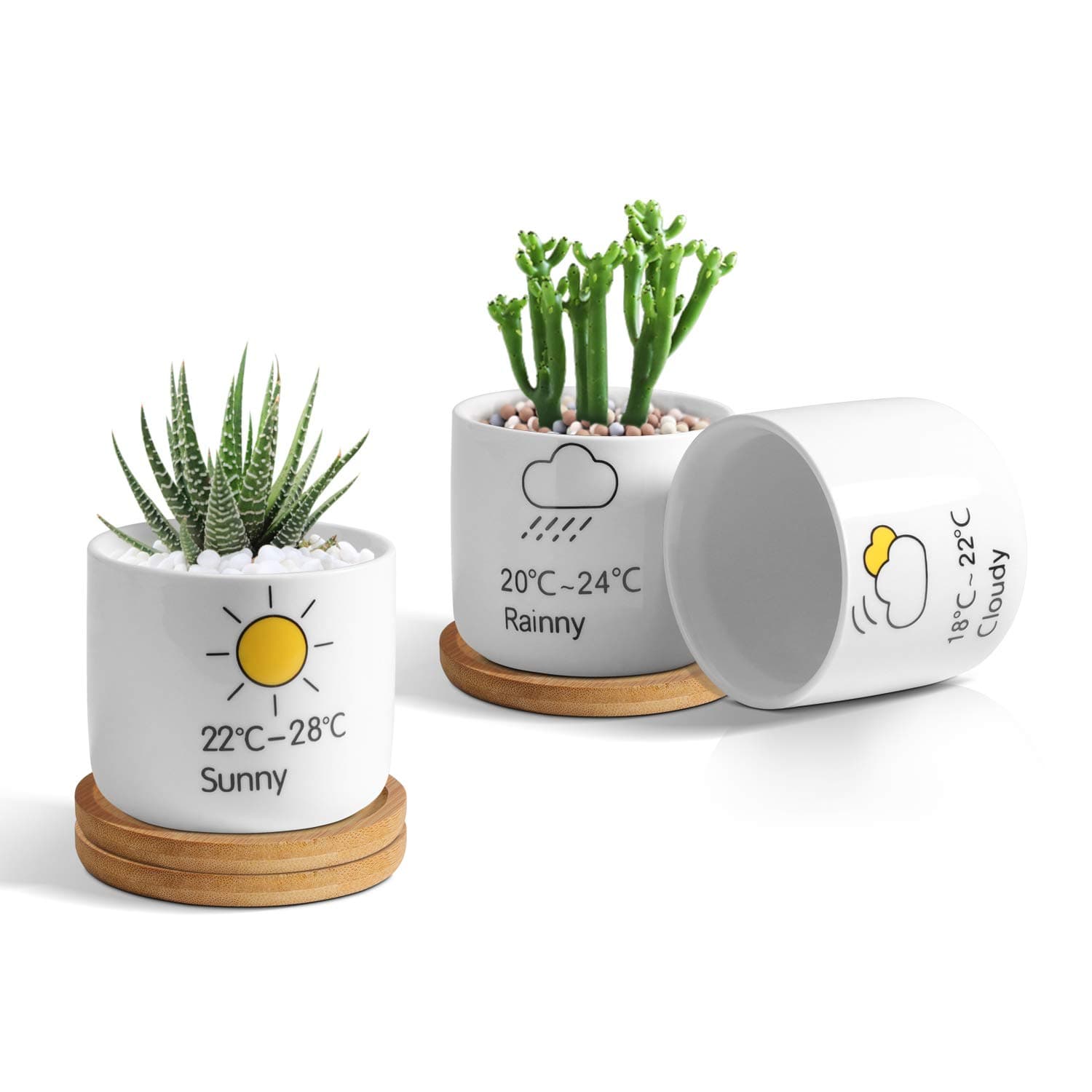 T4U Ceramic Succulent Pot Cartoon Patterns White Round Mini with Tray, Set of 3
