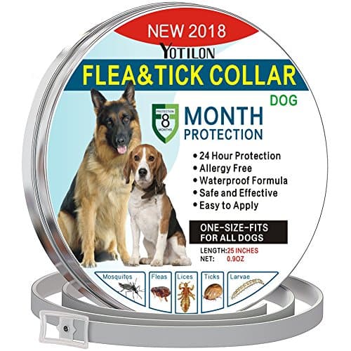YoTilon Flea and Tick Collar for Dog，Waterproof Flea Control for Dogs and Cats（8 Months Protection） Pet Essential Oil Pest Control Collars, Flea Treatment One Size Fits All Dogs (flea tick collar)