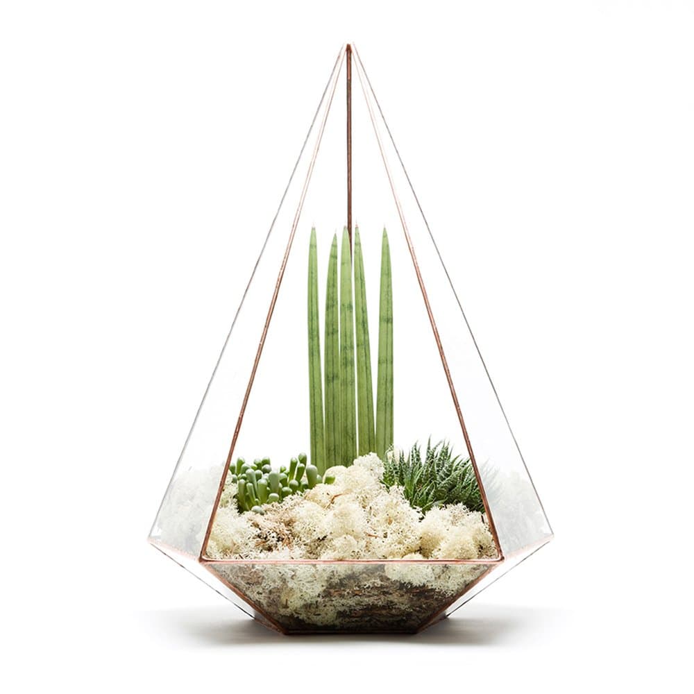 49cm HIGH EXTRA LARGE COPPER JEWEL TERRARIUM EMPTY FRAME ONLY Also available supplied fully assembled with live succulent plants and LED fairy lights. High quality glass and copper construction L27cm x H30cm x W49cm Exclusive designer geometric terrariums from The Urban Botanist. Stylish room decorations for home, office, events, interior design schemes (Empty - frame only)