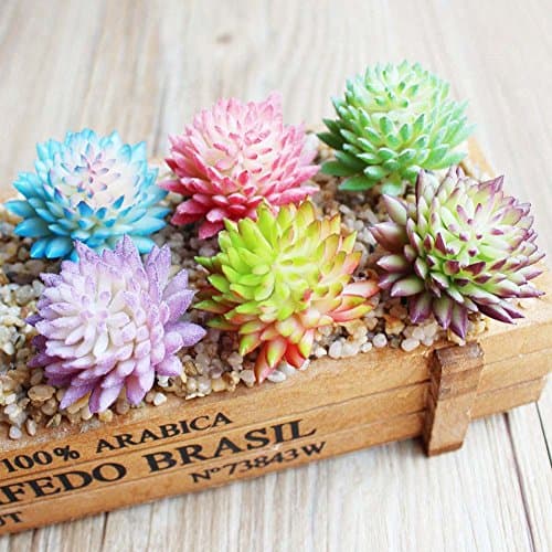Dutch Brook 6 Pcs Different Succulents Artificial Cactus Plants for Office Home Garden Decor (Sent Randomly) (6 Pcs)