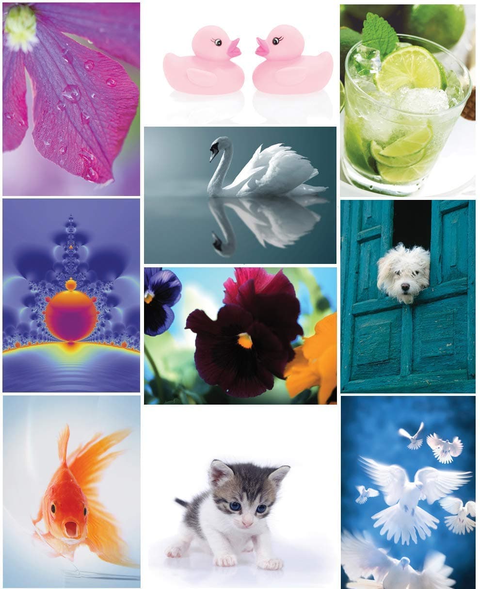 50 Mix it Up Postcards Great Value Multipack Images Cute, Beautiful and Humour (Without Envelope)