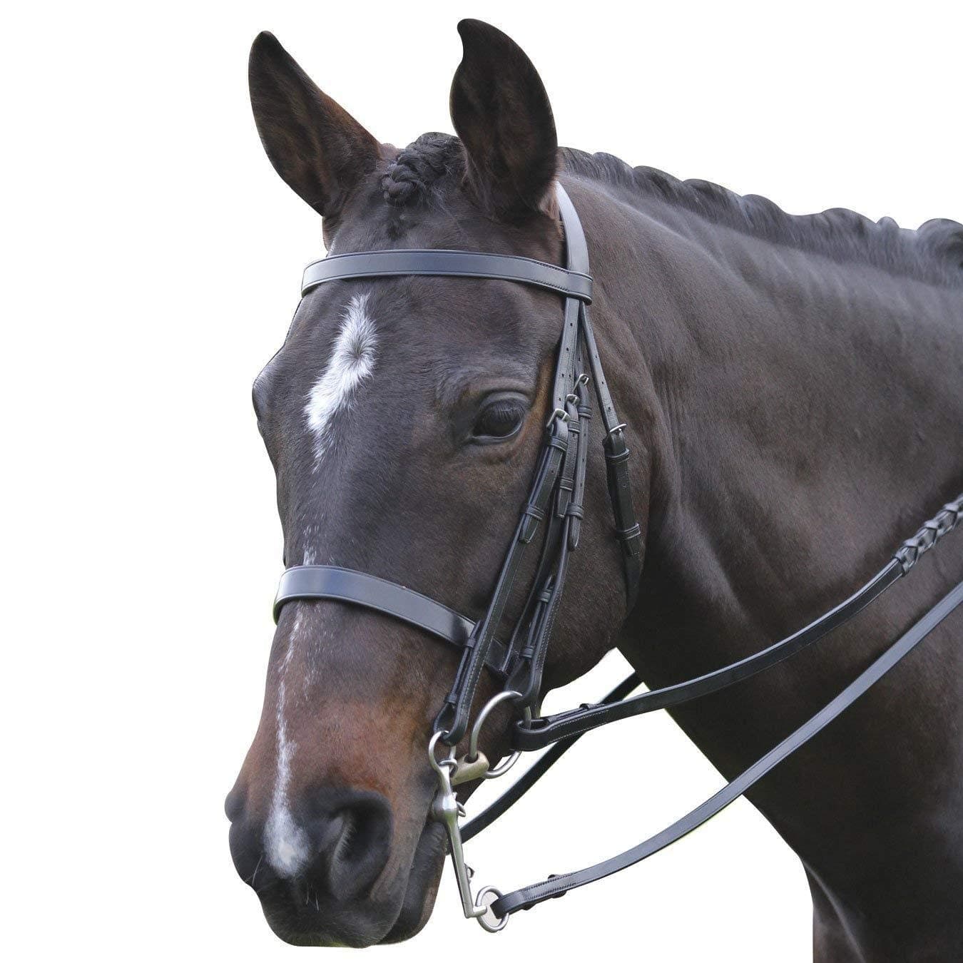 Kincade Show Weymouth Bridle