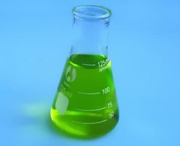 125 mL Erlenmeyer Flask