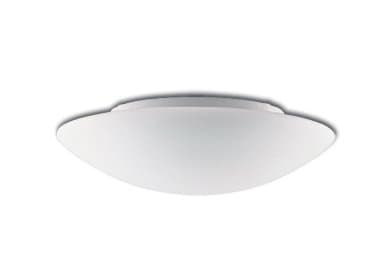 211059002 Wall and Ceiling Light White