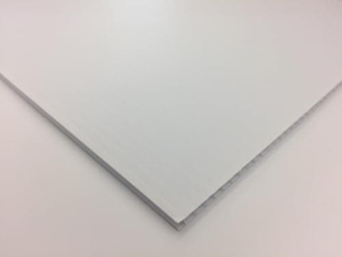 Coroplast Polypropylene Sheet, 18" Length x 24" Width x 5/32" Thick, White (Pack of 1)