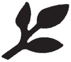 Punch Bunch Medium Punch - Twig Twig