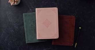 ESV Value Large Print Compact Bible (TruTone, Pink, Fleur-de-lis Design)