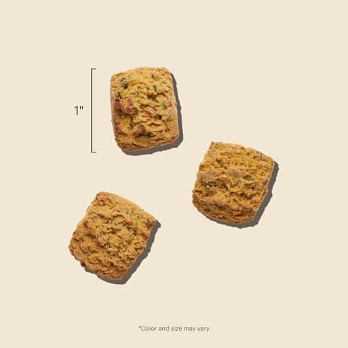 The Honest Kitchen Bone Broth Bites: Roasted with Beef Bone Broth & Sweet Potatoes, 8 oz Bag