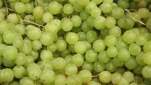 Fresh Cotton Candy Grapes-3 lbs.