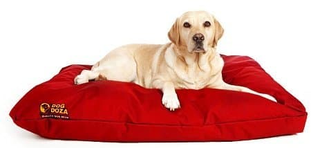 Dog Doza Waterproof Cushion Beds