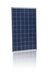 260W Poly BLK/WHT 1000V Solar Panel - Pack of 4