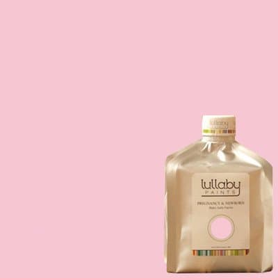 Barely Pink Gloss Paint Size: 1 Quart