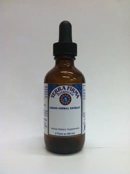 Black Walnut Tincture- Liquid Herbal Extract: 2 oz