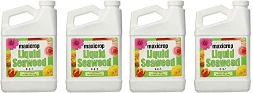 Maxicrop Liquid Seaweed (Kelp Extract, 32 Oz (4-(Pack))