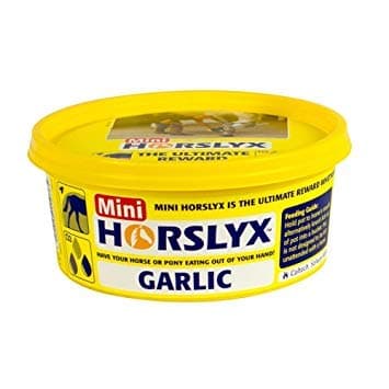 Horslyx Mini Lick Garlic - 650g