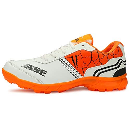 ASE Men's Professional Cricket Shoes