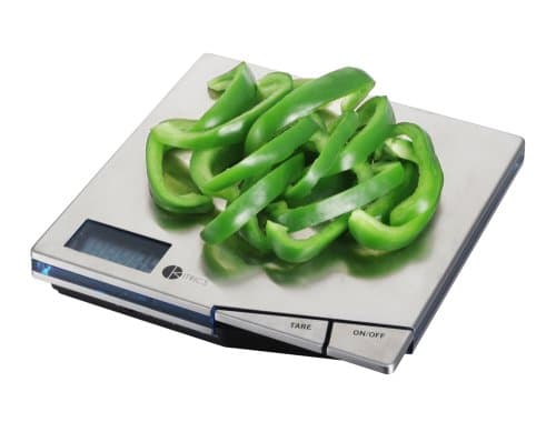 Stainless Steel Scale