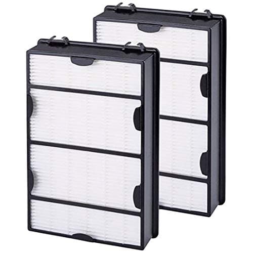 Replacement for Holmes B Filter