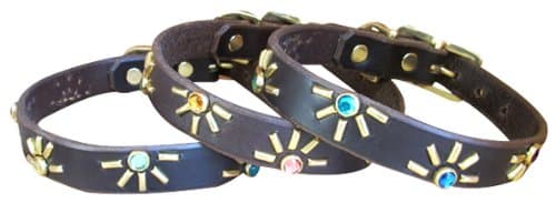 Paco Collars - "Tween Agnes" - Handmade Leather Medium-Small Dog Collar- 3/4" Wide - Brass - Black 12"-14"
