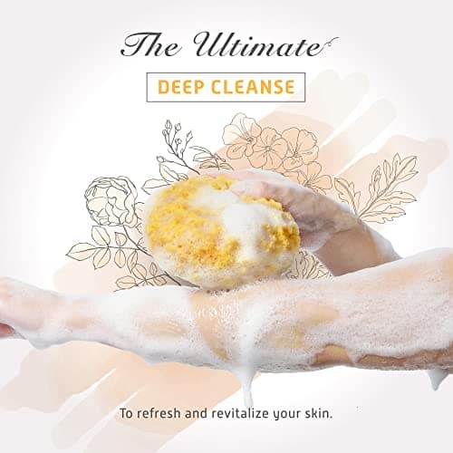 Spongentle Ultra Soft Body Sponge, for Bath and Shower, Multiple Textures for Gentle Cleansing and Deep Exfoliation, Generous and Rich Lather, for All Ages (Body Sponge Ultra Soft (3 Pieces))