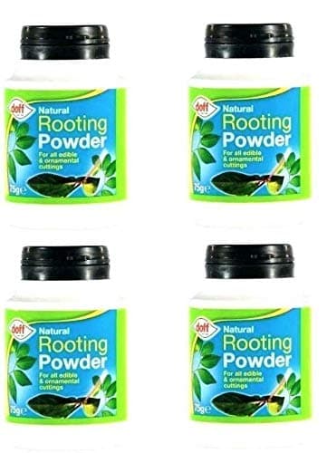 Rooting Hormone Powder 75g