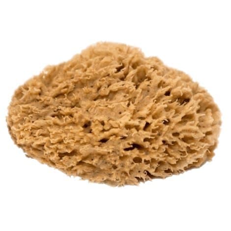 Helius NSS75 Natural Sea Sponge