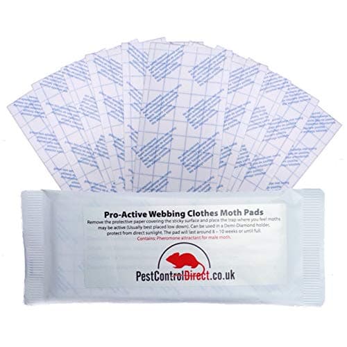 Clothes Moth Pheromone traps (pack of 10 traps)