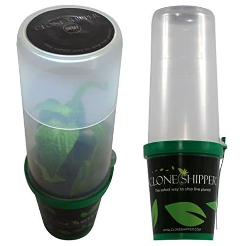 W/ LED Light - Plant Shipping Container ! ;from#bigtimehydroponics