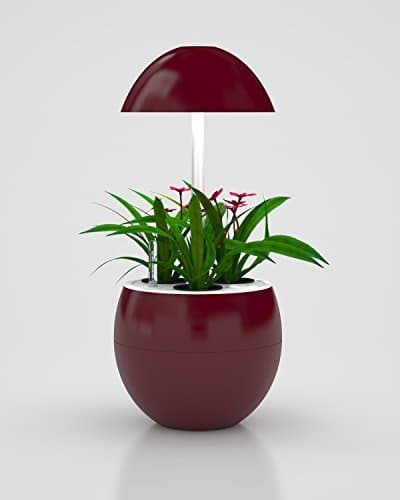 Hydroponic Indoor Garden System, LED Lights, Automatic, Grow Herbs, Grow Vegetables