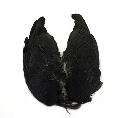 Jackdaw Wings for Fly Tying, Jackdaw Feathers, For Making Flies,