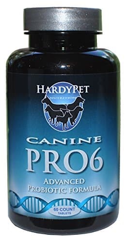 Canine PRO6 Probiotic Made Just for Dogs