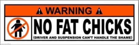Warning NO Fat Chicks Sticker